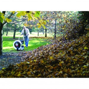 Leaf Blower Little Wonder 9HP
