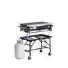 Big John 3 ft Gas Grill